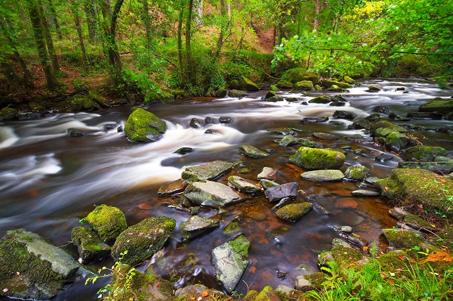 Hoogtepunten van Ierland Afbeelding